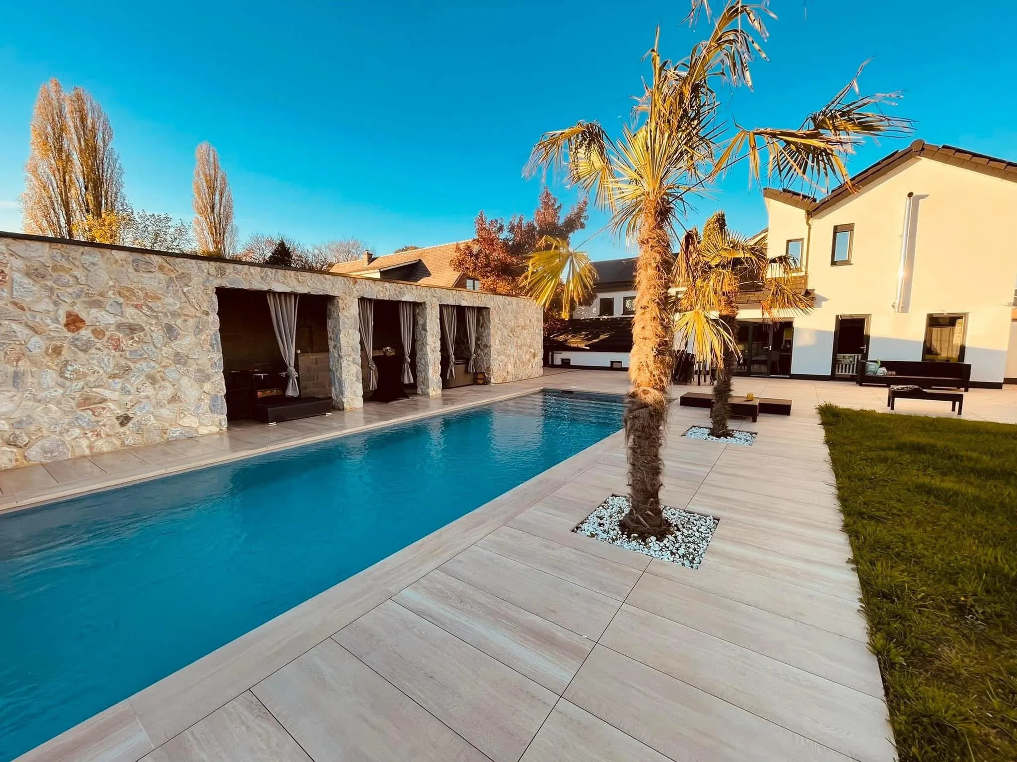 Piscine paysagée avec palmiers, terrasse claire et pool house en pierre